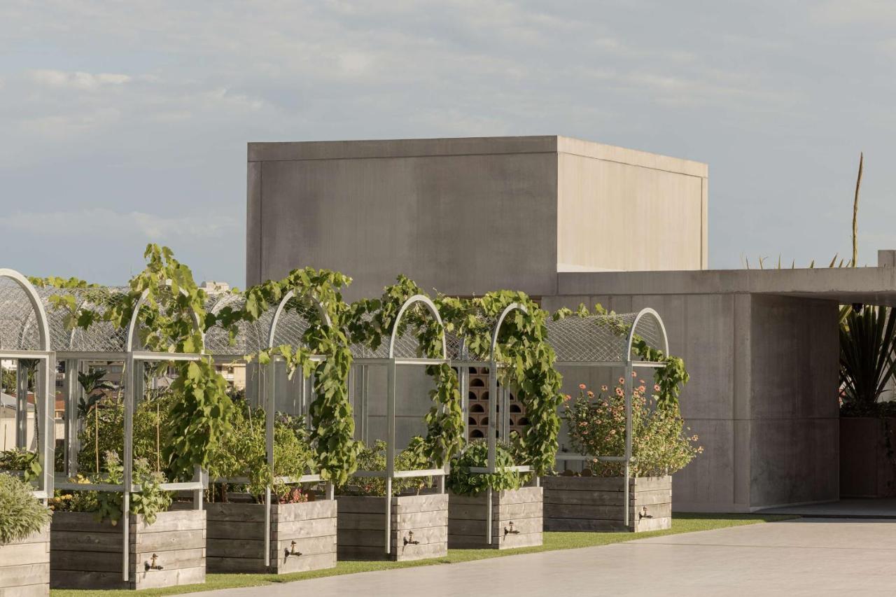The Calile Hotel Brisbane Extérieur photo The winery at H.L. Stubb's vineyard
